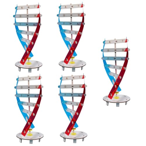 Hohopeti 5 Sätze Genmodell Kinder lernspielzeug Science Toys Wissenschaftliches Spielzeug Biologisches Lernspielzeug DNA-Modell für den Unterricht DIY-Holz-DNA-Modell Molekülmodell Colorful von Hohopeti