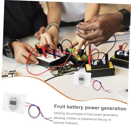 Hohopeti DIY Fruchtbatterie Experimentierkasten für Schüler Leicht Montierbares Batterie Kit zur Stromerzeugung aus Früchten Pädagogisches Wissenschaftsspielzeug für Praktisches Lernen und Hohopeti DIY Fruchtbatterie Experimentierkasten für Schüler Leicht Montierbares Batterie Kit zur Stromerzeugung aus Früchten Pädagogisches Wissenschaftsspielzeug für Praktisches Lernen und von Hohopeti