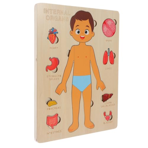 Hohopeti 1 Set Anatomie Puzzle Für Pädagogisches Lernspielzeug Zur Erkennung Von Körperorganen Montessori Puzzle Für Jungen Und ädchen Ideales Für Kreative Entfaltung von Hohopeti