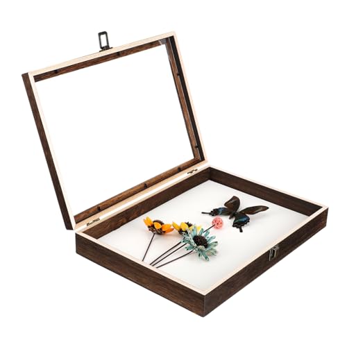 Holibanna Vintage Probenbox Deckel Staubdicht Für Insekten Schmetterlinge Eleganter Schattenkastenrahmen Für Sammler Ausstellungen Holibanna Vintage Probenbox Deckel Staubdicht Für Insekten Schmetterlinge Eleganter Schattenkastenrahmen Für Sammler Ausstellungen von Holibanna