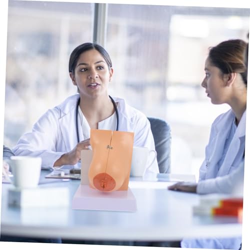 Holibanna Weibliches Brustmodell Anatomisches Display Bruststrukturmodell Realistisch und Langlebig für Medizinische Lehre und Unterricht Holibanna Weibliches Brustmodell Anatomisches Display Bruststrukturmodell Realistisch und Langlebig für Medizinische Lehre und Unterricht von Holibanna