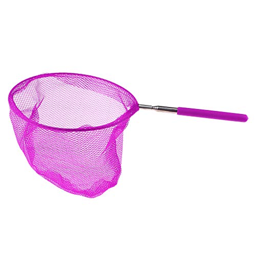 HomeDecTime Kinder Schmetterling Net Schmetterlingsnetz Kescher zum Auffangen von Schmetterlingswanzen Insekt Kleine Fische - Lila, 20cm von HomeDecTime