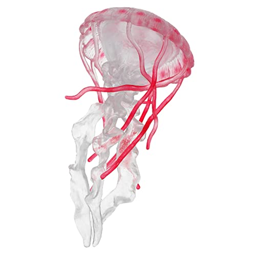 Homoyoyo Realistisches Quallenmodell Für Frühes Lernen - Simuliertes Ozeantier Aus Hochwertigem Material - Perfekt Für Kognitives Und Meereslebewesen Dekoration in Leuchtendem Rot von Homoyoyo