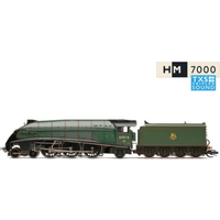 HORNBY TT3008TXSM TT Class A4 4-6-2 60016 'Silver King' Digital Sound, BR, Ep. IV von Hornby