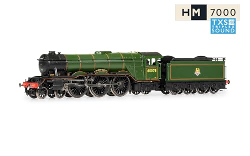 Hornby TT:120 Modelleisenbahn TT3005TXSM BR Klasse A3 4-6-2 60078 „Night Hawk“ Digital – Epoche 4 (mit Sound ausgestattet) Lokomotiven von Hornby