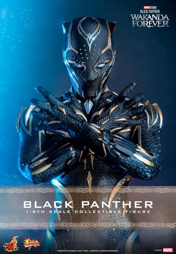 Hot Toys Black Panther: Wakanda Forever Movie Masterpiece Figur 1/6 Black Panther: 28 cm von Hot Toys