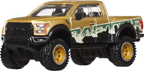 Hot Wheels Premium Car Culture Sammel-Spielzeugauto, Die-Cast '17 Ford F150 Raptor im Maßstab 1:64, Geländefahrzeug mit Real-Riders-Reifen, JBK70 von Hot Wheels