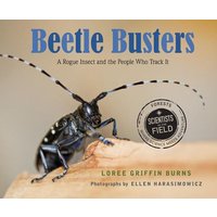 Beetle Busters von Houghton Mifflin Company