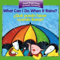 What Can I Do When It Rains? von Houghton Mifflin Company