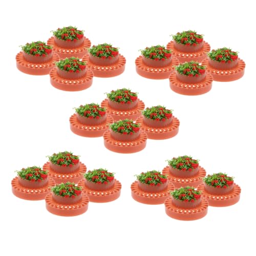 Housoutil 20 Stück Simulation Kunststoff Blumentopf für Puppenhaus Landschaftsbau Sandtisch Modell Miniatur Gartenaccessoires Realistische Pflanzenmodelle Housoutil 20 Stück Simulation Kunststoff Blumentopf für Puppenhaus Landschaftsbau Sandtisch Modell Miniatur Gartenaccessoires Realistische Pflanzenmodelle von Housoutil