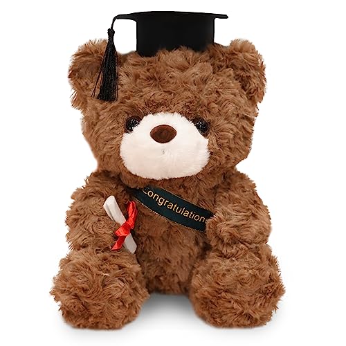 Teddybär Plüschtier,Examensbär,Teddy Plüschbär mit Diplom und Doktorhut,Bachelor Abschluss Geschenk,Graduation Gift,Bachelor Geschenk,Bestandene Prüfung Geschenk,Geschenke zum Bachelor Abschluss von Hpbaggy