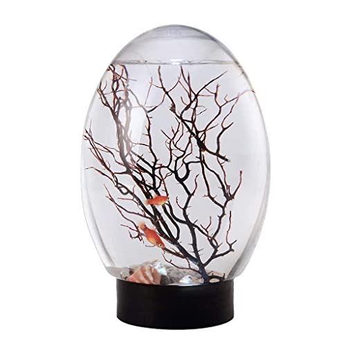 Huaqgu 360-Desktop Aquarium Set Neuartiges Design Mit LED Basis Für Kinder/Angelliebhaber Kein Wasser/Futterwechsel Erforderlich. Ecosphere Geschlossenes Wasserökosystem von Huaqgu