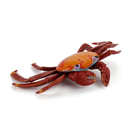 Huaqgu 5-7 Zoll Miniatur Meerestiermodell Marinefigur Einsiedler Oktopus Interaktive Realistische Statue Schreibtischdekoration Kuchen 1. Geburtstag Mädchen Hochzeitstorte Lustig von Huaqgu