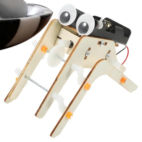 Huayeex Spinnenspielzeug - Holz Wissenschafts Experimentierset | Sensorisches Interaktives Pädagogisches Spielzeug Für Spielzimmer Geburtstag Sommercamp Wochenende Aktivitäten Huayeex Spinnenspielzeug - Holz Wissenschafts Experimentierset | Sensorisches Interaktives Pädagogisches Spielzeug Für Spielzimmer Geburtstag Sommercamp Wochenende Aktivitäten von Huayeex