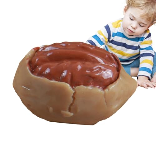 Hugsweet Simulierte Nüsse, Rollenspiel-Essen | Realistische Walnuss-Spielnahrung für Kinder,Foto-Requisite Frühes Lernspielzeug für kognitive Fähigkeiten für Klassenzimmer, Kinderzimmer, Hugsweet Simulierte Nüsse, Rollenspiel-Essen | Realistische Walnuss-Spielnahrung für Kinder,Foto-Requisite Frühes Lernspielzeug für kognitive Fähigkeiten für Klassenzimmer, Kinderzimmer, von Hugsweet