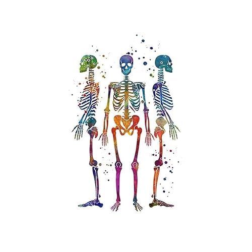 1pc Anatomie Menschliche Brust Wirbelsäule Becken Gliedmaßen Skelett Nordic Poster Und Drucke Kunst Leinwand Malerei Wand Bilder Arzt Zimmer Decor(A,13X18 cm No Framed) von Huhpa