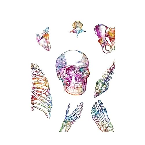 1pc Anatomie Menschliche Brust Wirbelsäule Becken Gliedmaßen Skelett Nordic Poster Und Drucke Kunst Leinwand Malerei Wand Bilder Arzt Zimmer Decor(C,13X18 cm No Framed) von Huhpa