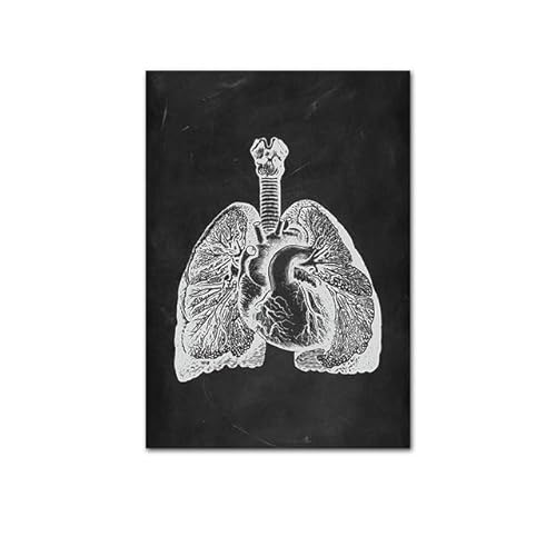 1pc Anatomie des menschlichen Körpers Poster medizinische Klinik Wand dekorative Bild Körper Organ System Leinwand Malerei Medizin Bildung Poster(F,20x30cm no Frame) von Huhpa