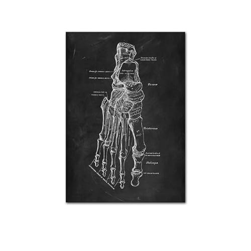 1pc Anatomie des menschlichen Körpers Poster medizinische Klinik Wand dekorative Bild Körper Organ System Leinwand Malerei Medizin Bildung Poster(J,20x30cm no Frame) von Huhpa