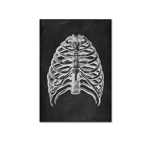 1pc Anatomie des menschlichen Körpers Poster medizinische Klinik Wand dekorative Bild Körper Organ System Leinwand Malerei Medizin Bildung Poster(M,20x30cm no Frame) von Huhpa