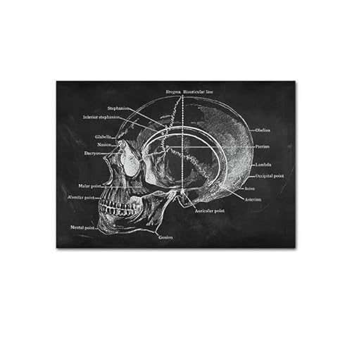 1pc Anatomie des menschlichen Körpers Poster medizinische Klinik Wand dekorative Bild Körper Organ System Leinwand Malerei Medizin Bildung Poster(P,30x40cm no Frame) von Huhpa