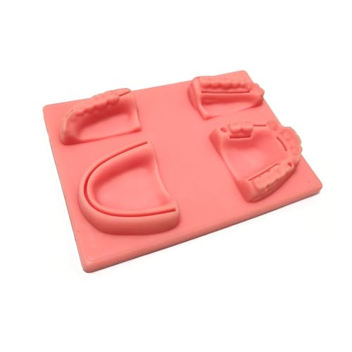 1pc Dental Training Pad Silikon Menschliche Haut Oral Zähne Gum Naht Zahnarzt Praxis Ausbildung Modell Häufige Arten Von Zahn wunden von Huhpa