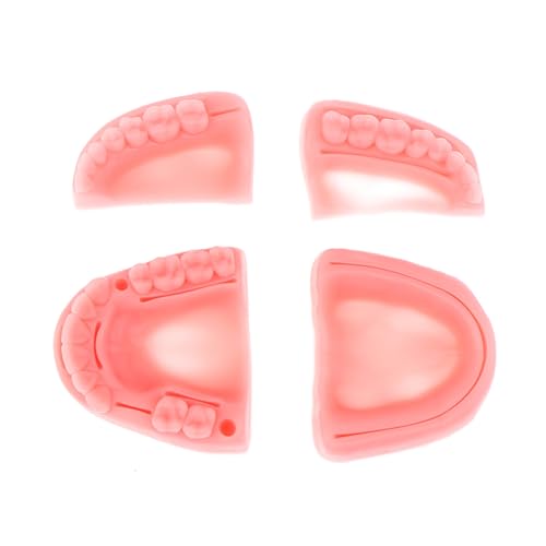 2/4 stücke Dental Oral/Gum Naht Ausbildung Modul Silikon Parodontitis Naht Modell Dental Oral Naht Ausbildung Modul(4pcs) von Huhpa