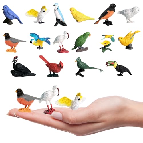 Huraoerrrr Realistische Vogelfiguren, 16pcs Plastikvogelspielzeug für Kinder, Bildungsspielzeug für Bildungspapagei von Huraoerrrr