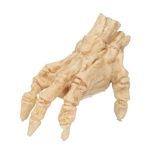 Huvqianu Halloween Skeleton Hands | Realistic Halloween Props | Skeleton Hand Decor, Haunted House Prop, Costume Props Halloween Electric Gothic Home Decor for Haunted House Themed Party von Huvqianu