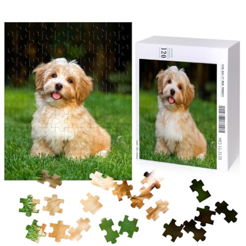 HyzaPhix Foto-Puzzle, 120/200/500/1000 Teile Fotopuzzle, Puzzle mit Eigenem Bild, Personalisiertes Geschenk für Frauen, Männer, Freund, Mama, Papa (120 Teile) von HyzaPhix