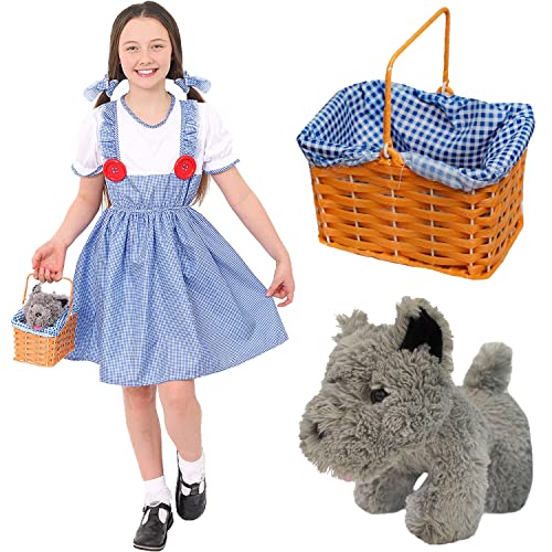 Kansas Mädchenkostüm für Kinder, Größe S, blaues Gingham-Kleid, passende Haargummis, blauer Gingham-Korb und Plüschtierhund – Kinderkostüm zum Welttag der Buchwoche von I LOVE FANCY DRESS