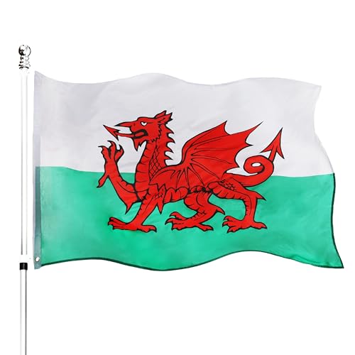 I LOVE FANCY DRESS Walisische Flagge, groß, 152 x 91 cm, Wales, St. David's Day, Hängedekoration, Fußball, Rugby, Wales, mit Ösen, 12 Stück von I LOVE FANCY DRESS