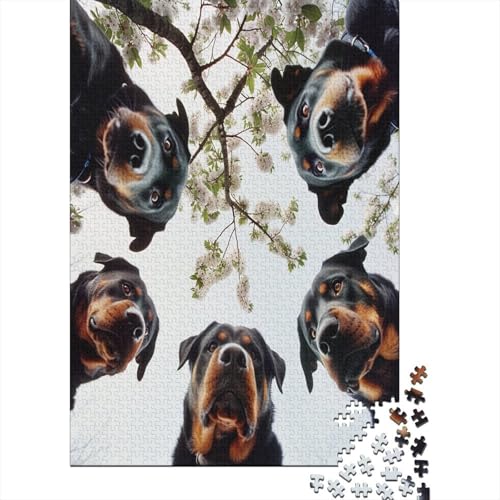 Rottweiler Puzzle 1000 Teile Puzzle Für Erwachsene Und Kinder Ab 14 Jahren Puzzel 1000pcs (75x50cm) von IAEXFGHJZ