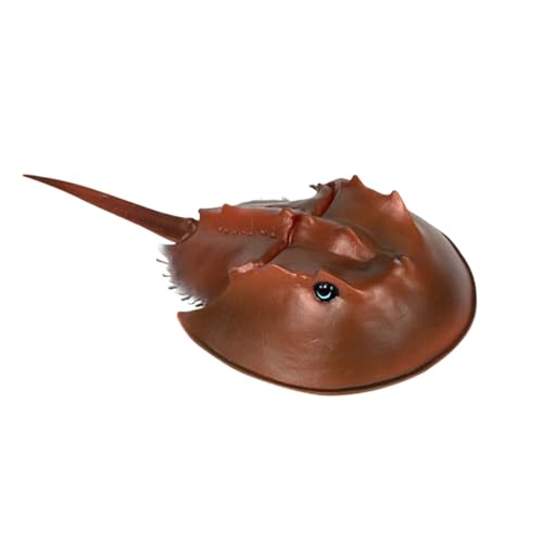 ICDKOYK Meereslebewesen, lebensechtes Hai Modell, langlebiges Spielzeug für Erwachsene, pädagogisches Vorschulspielzeug, lebensechtes Spielzeugmodell für Hai Tier, Tachypleus tridentat von ICDKOYK
