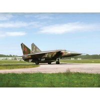 ICM 48904 1:48 MiG-25 RBF, Soviet Reconnaissance Plane von ICM