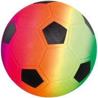 idee+spiel 110-17021 Fußball von IDEE+SPIEL