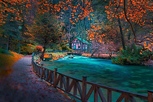 IGHSNZUH 1000 Stücke Lustige Rätsel, Herbstlandschaft Bosnien Park Sarajevo Erwachsene Karton Puzzle Bild, Mädchen Zimmer Home Wanddekoration 38X26Cm von IGHSNZUH