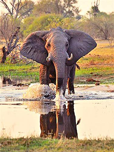 IGHSNZUH 1000 Teile Erwachsene Puzzles, Tierserie Waterside Elephant Holzfamilienpuzzleset, Gehirnherausforderungspuzzlespiele Für Kinder, Puzzlespielzeug Für Die Intellektuelle Eltern-Kind-Bildung, von IGHSNZUH