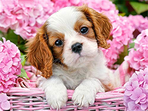 IGHSNZUH 1000 Teile Puzzle Für Erwachsene, Tierserie King Charles Spaniel Holz-Familienpuzzleset, Gehirn-Challenge-Puzzlespiele Für Kinder, Intellektuelles Eltern-Kind-Bildungspuzzlespielzeug, Wandd von IGHSNZUH