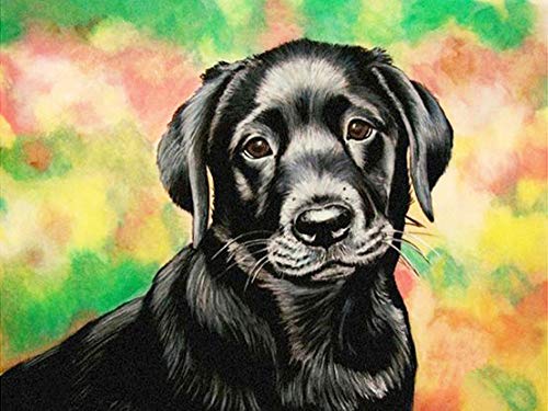 IGHSNZUH 1000 Teile Puzzle Für Erwachsene, Tierserie Labrador Retriever Holz-Familienpuzzleset, Gehirn-Herausforderungspuzzlespiele Für Kinder, Puzzlespielzeug Für Die Intellektuelle Eltern-Kind-Bil von IGHSNZUH