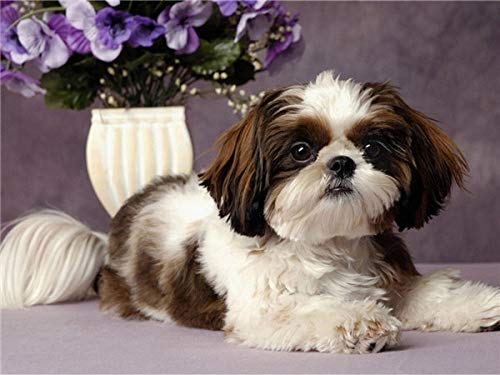 IGHSNZUH 1000 Teile Puzzle Für Erwachsene, Tierserie Shih Tzu Holz-Familienpuzzleset, Gehirn-Challenge-Puzzlespiele Für Kinder, Puzzlespielzeug Zur Intellektuellen Eltern-Kind-Bildung, Wanddekoratio von IGHSNZUH