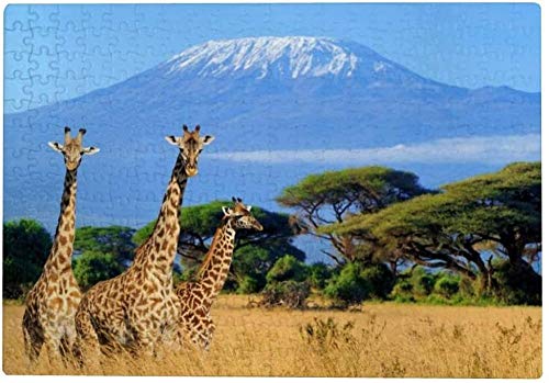 IGHSNZUH 1000 Teile Puzzle Für Erwachsene – Giraffe Kilimandscharo Berg Afrika, Kinder-Puzzlespiel von IGHSNZUH