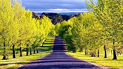 IGHSNZUH 1000-Teiliges Puzzle Für Erwachsene Und Kinder, Frühlingsgrüner Baum, Herausfordernde Puzzlespiele Für Erwachsene, Perfekt Für Kinder, Lernspiel, Unterhaltungsgeschenk. von IGHSNZUH