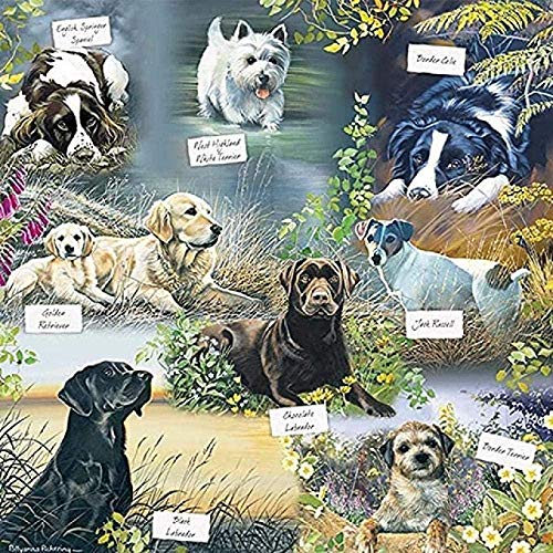 IGHSNZUH Klassisches Puzzle, 1000 Teile, Für Kinder Und Erwachsene, Holzpuzzles – Geburtstagsgeschenke Für Jungen Und Mädchen, 50 X 75 cm von IGHSNZUH