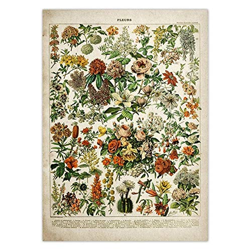 IGHSNZUH Puzzle – 1000-Teilige Puzzles Für Erwachsene, Puzzles 1000 Teile Für Erwachsene, Puzzle Für Erwachsene 1000 Teile Verschiedene Blumen, Lernspielzeug, Lustiges Familien-Heimspiel Für Kinder von IGHSNZUH