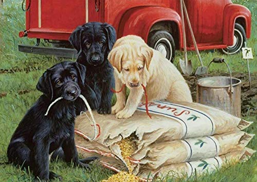 IGHSNZUH Puzzles 1000 Teile Für Erwachsene Teenager Hunde Holzpuzzle Gehirn-Herausforderungsspiele Spielzeug 50X75Cm von IGHSNZUH