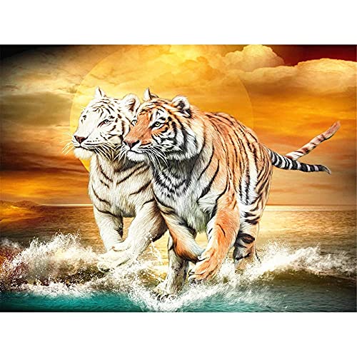 IGHSNZUH Puzzles Für Erwachsene 500-Teiliges Puzzle | Bunte Eule | Puzzles -500 Teile (52X38Cm)/B/1000 Stück (26 X 38 cm). von IGHSNZUH