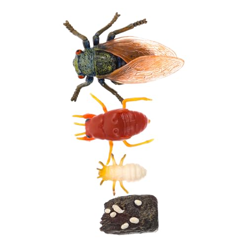 IMIKEYA Realistisches Zikaden Lebenszyklusmodell Lernspielzeug Pädagogisch Langlebig Naturgetreues Insektenspielzeug für Schule und Kindliche Entdeckung IMIKEYA Realistisches Zikaden Lebenszyklusmodell Lernspielzeug Pädagogisch Langlebig Naturgetreues Insektenspielzeug für Schule und Kindliche Entdeckung von IMIKEYA