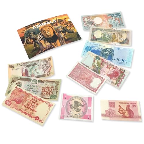 IMPACTO COLECCIONABLES 10 Tierbanknoten aus Aller Welt - Banknoten Weltwährungs Sammlung - Altes Geld mit Echtheitszertifikat - Geld Scheine für Sammler & wissbegierige Kinder - Geldschein Kollektion von IMPACTO COLECCIONABLES