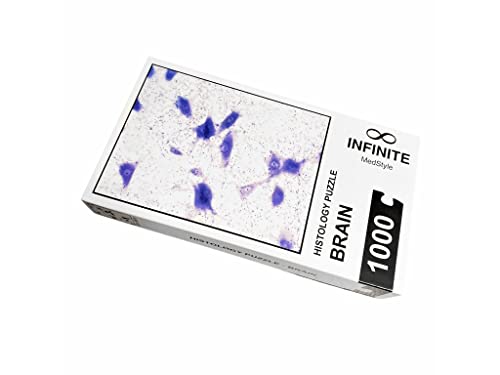 Histology Puzzle Infinite - Brain von INFINITE MedStyle